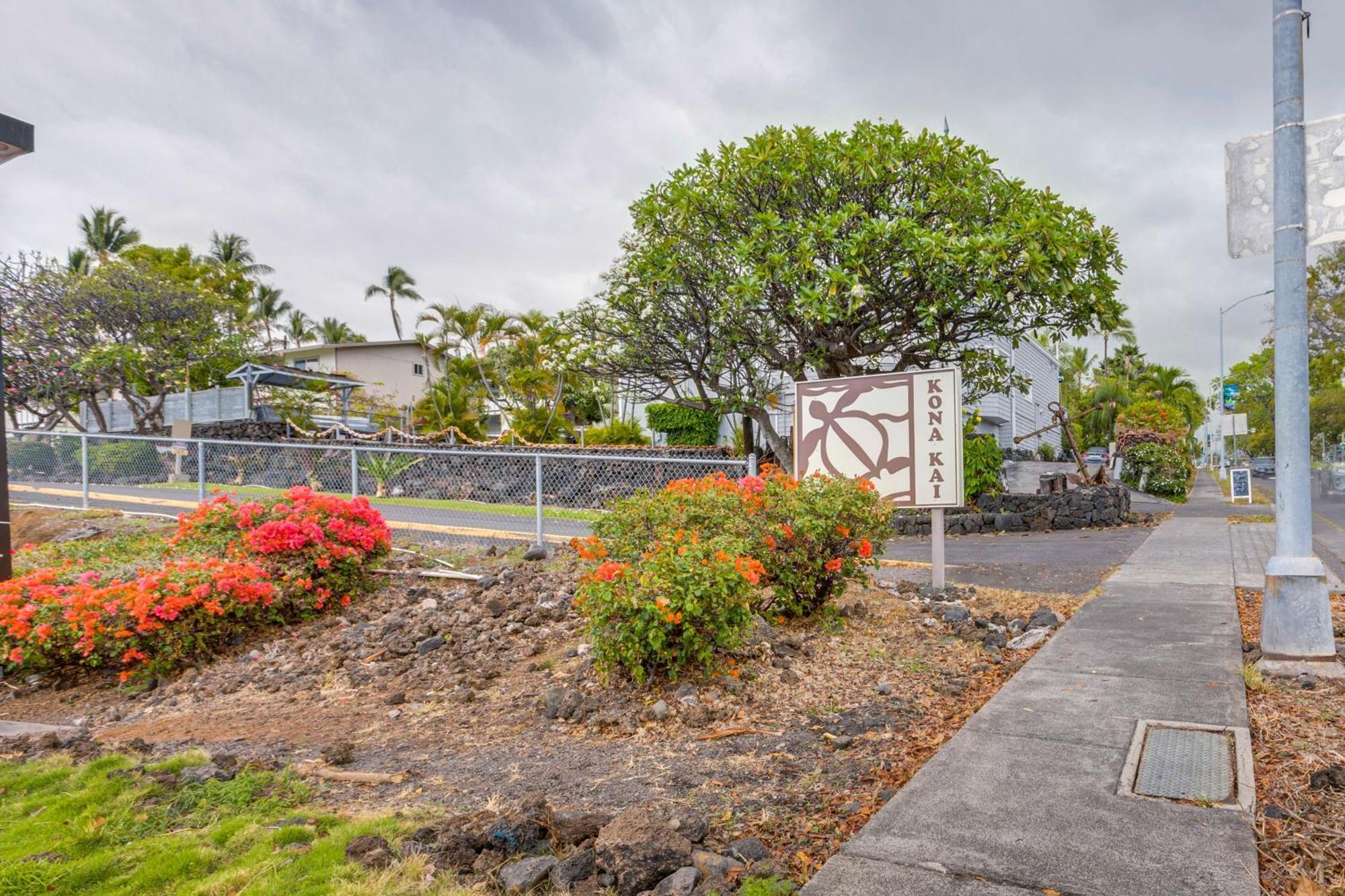 Kona Kai Haven With Pool Access, Walk To Beach! Kailua-Kona Eksteriør billede